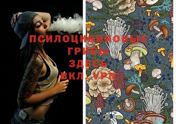 герыч Покачи