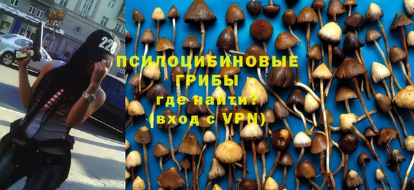эйфоретик Алексин